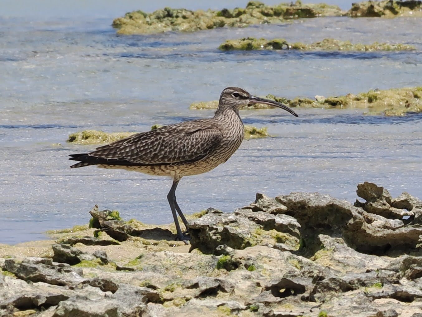 [Image]